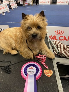 48890BC9 FB72 4198 843D F725795B8370