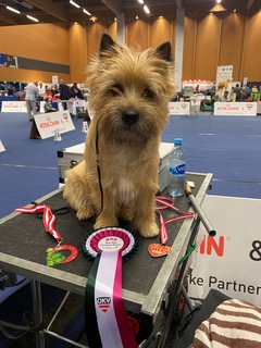 745F1CAD 2291 418B A03E 3A25AA74A7EF